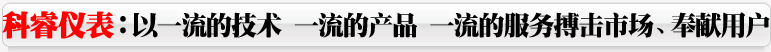 電磁流量計，渦街流量計，旋進旋渦流量計，平衡流量計，孔板流量計，超聲波流量計，V錐流量計，壓力變送器、差壓變送器